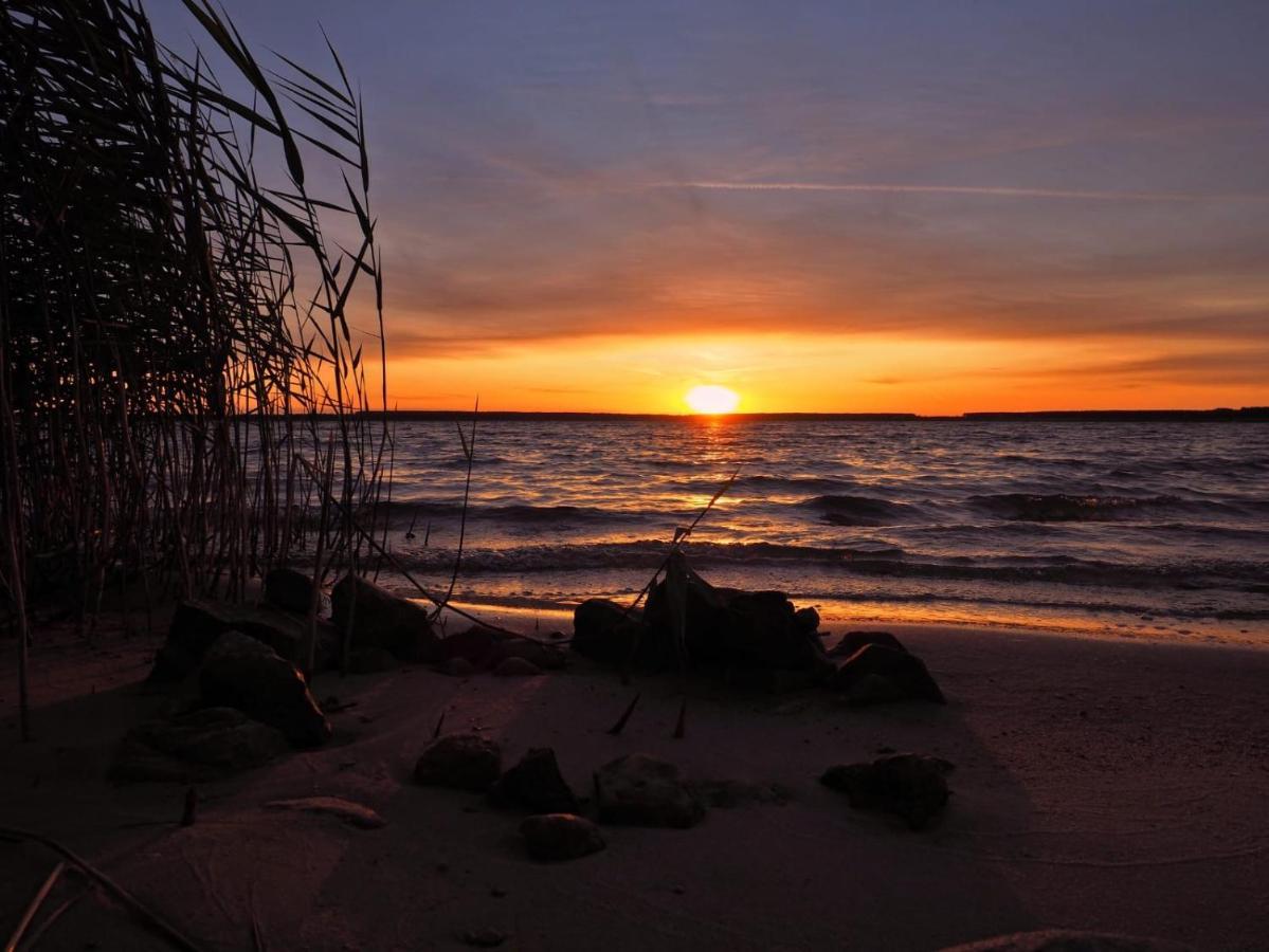 Altes Gewoelbe Mit Sauna Und Whirlpool Im Aussenbereich Elsterheide Exterior foto